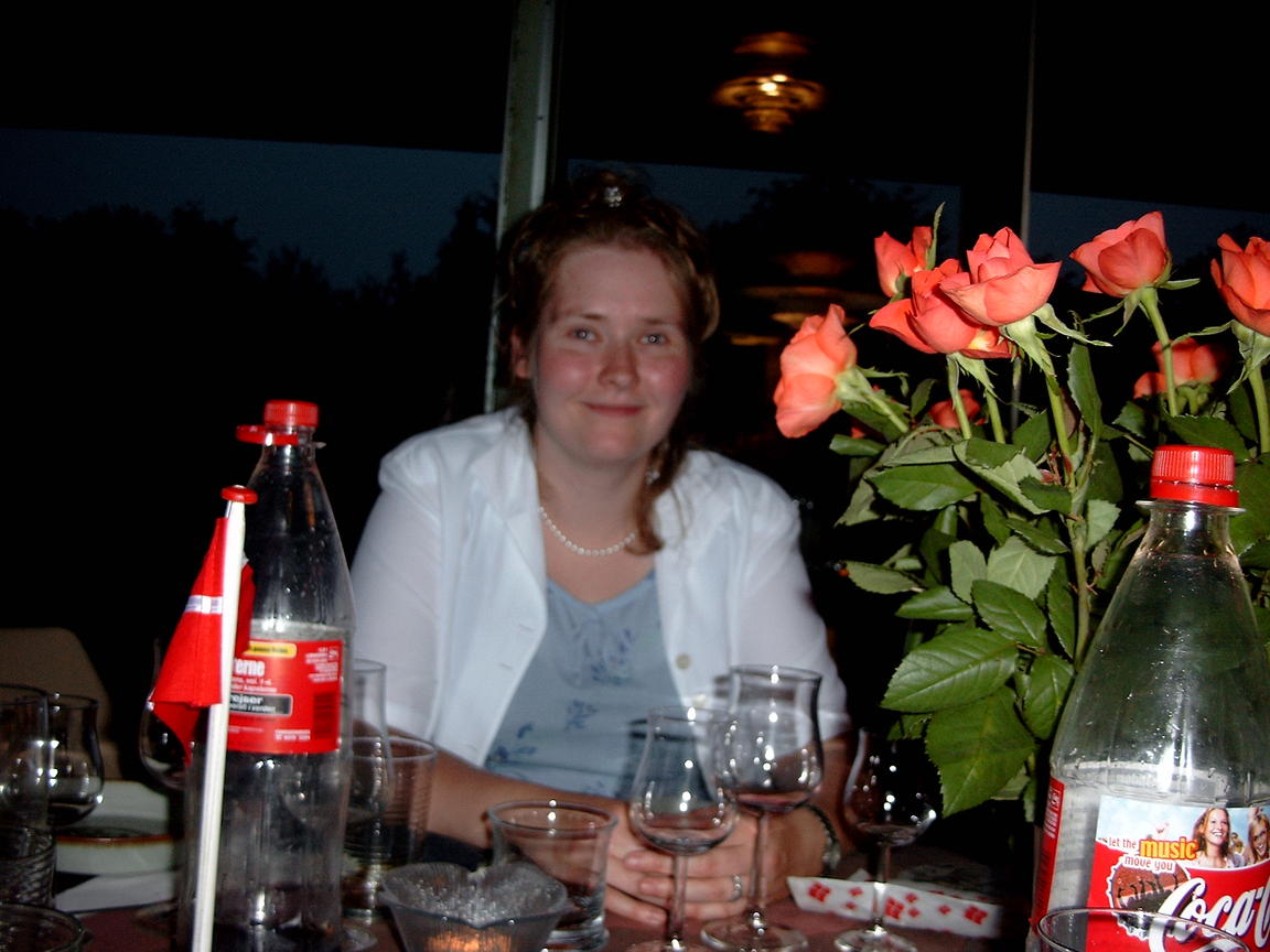 Klik på billedet for at lukke vinduet