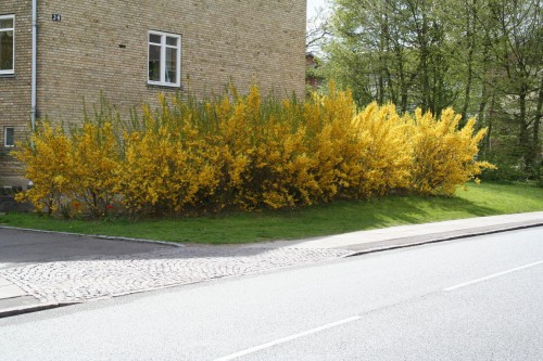 Klik på billedet for at se det i større format