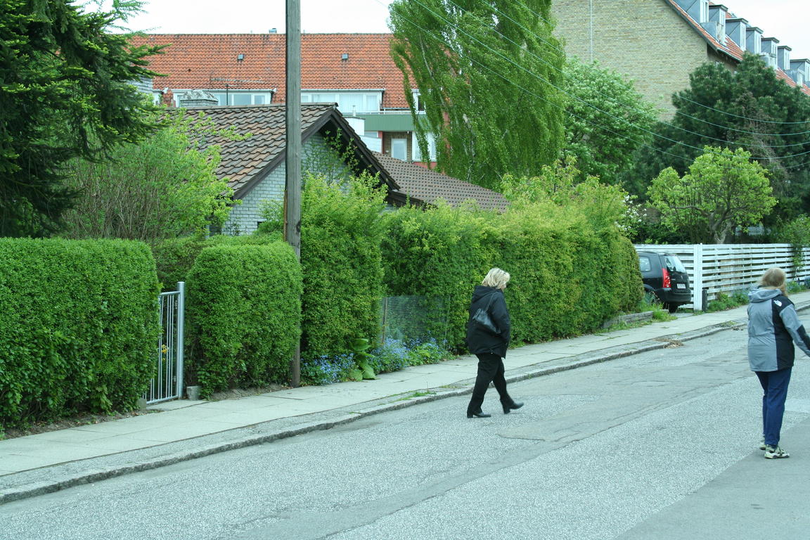 Klik på billedet for at lukke vinduet