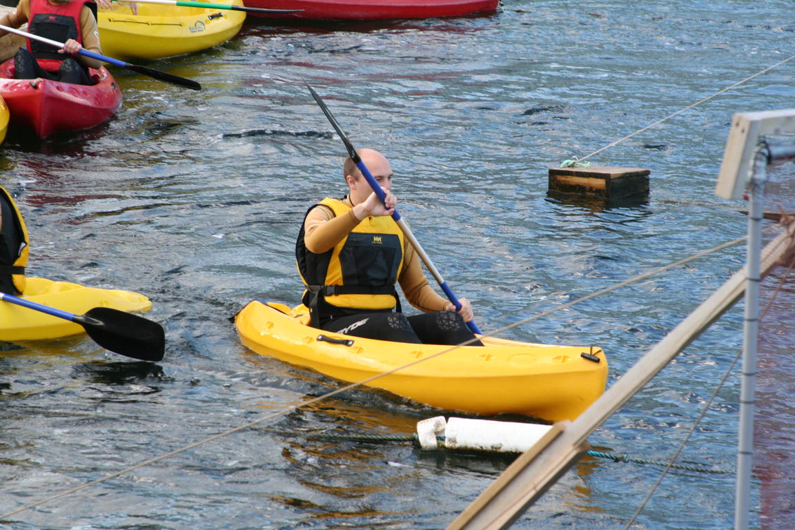 Klik på billedet for at lukke vinduet
