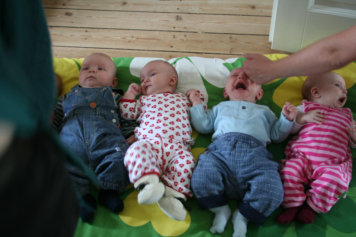 Klik på billedet for at lukke vinduet