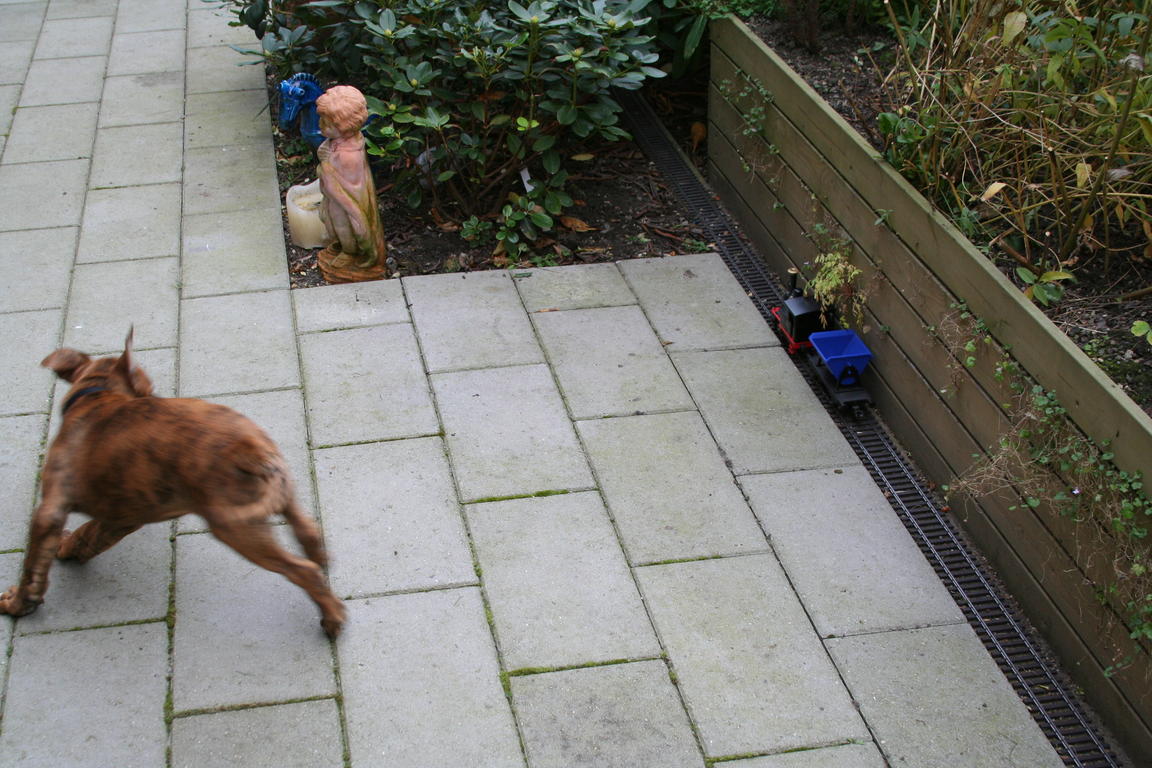Klik på billedet for at lukke vinduet