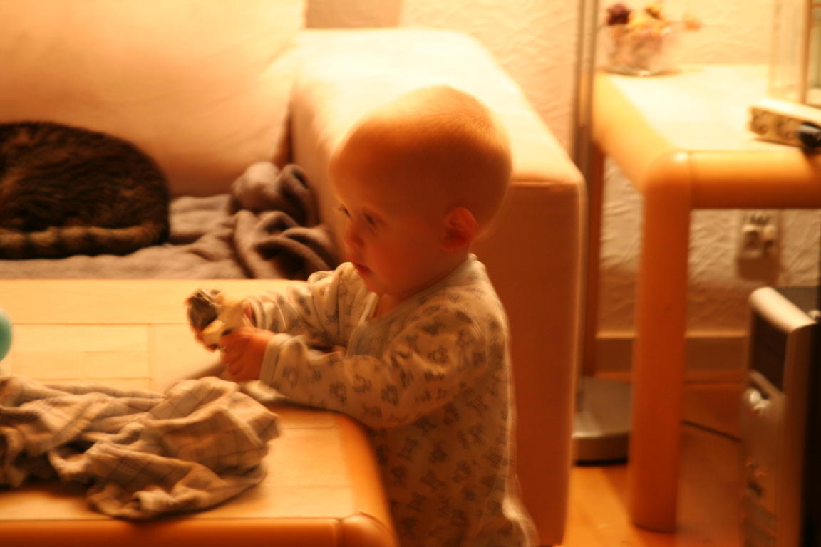 Klik på billedet for at lukke vinduet
