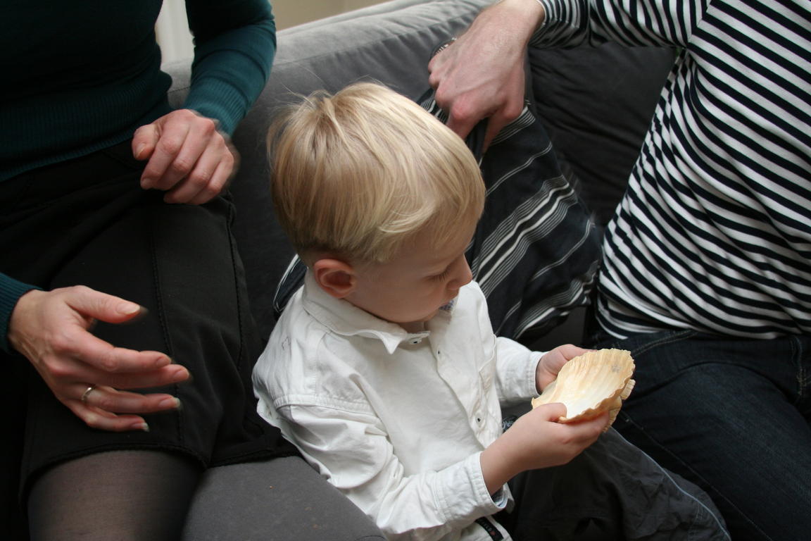 Klik på billedet for at lukke vinduet
