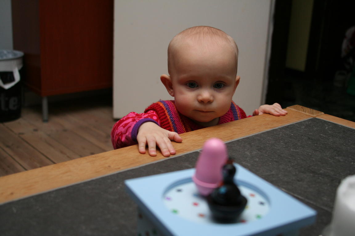 Klik på billedet for at lukke vinduet