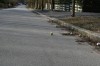 Klik på billedet for at se det i større format