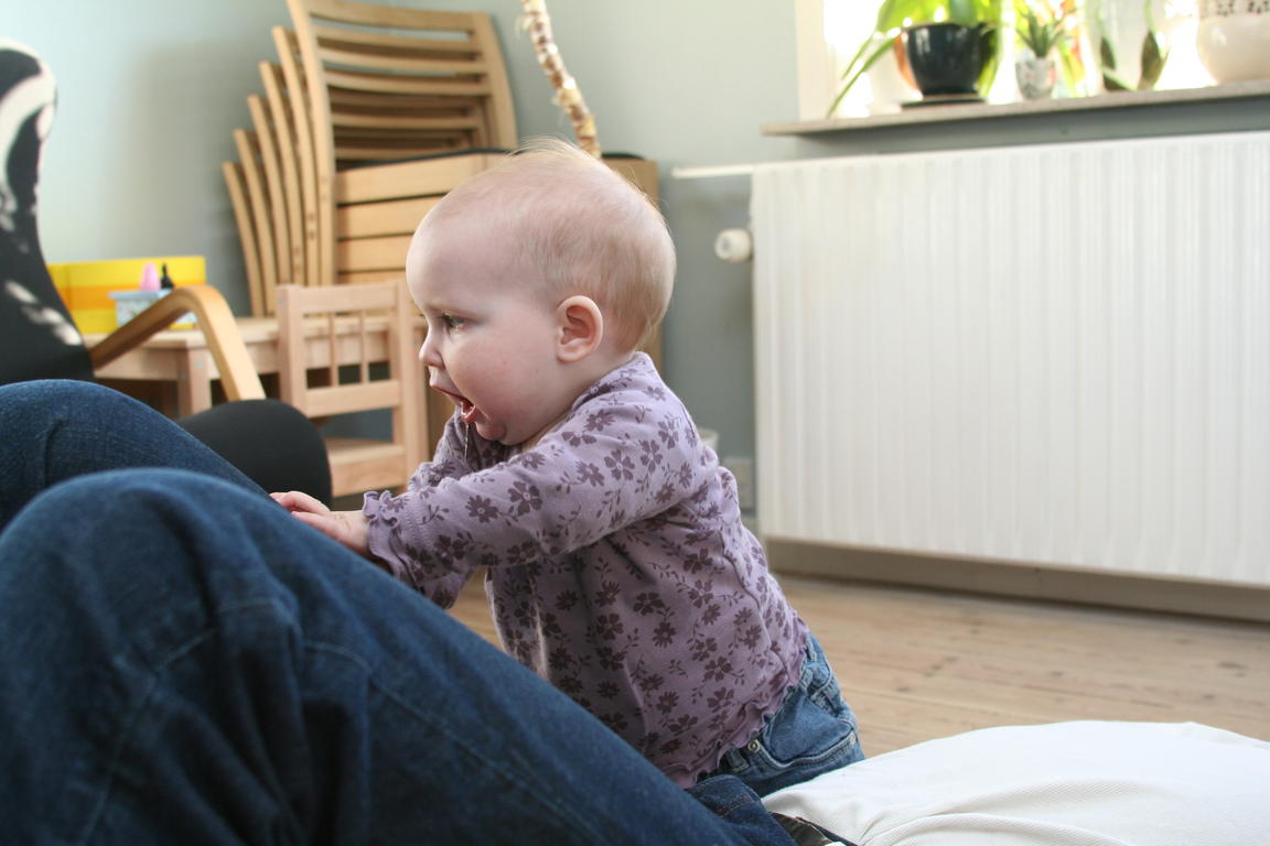 Klik på billedet for at lukke vinduet