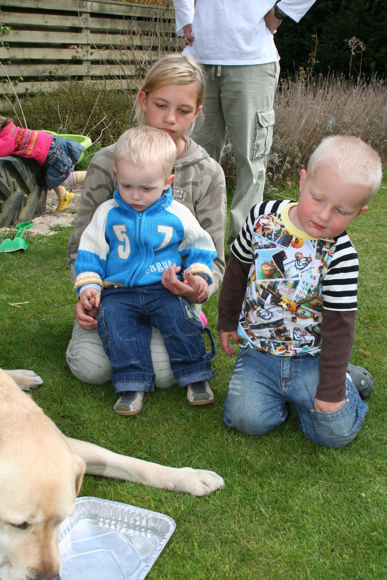 Klik på billedet for at lukke vinduet