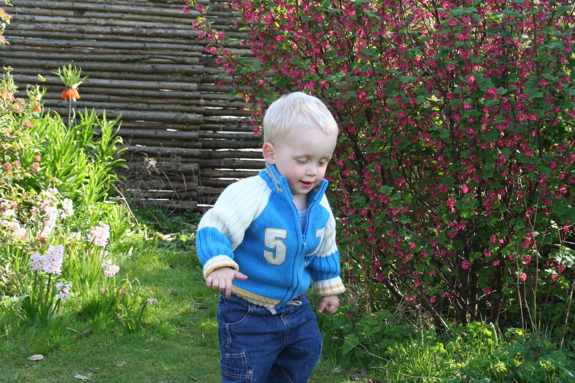 Klik på billedet for at lukke vinduet