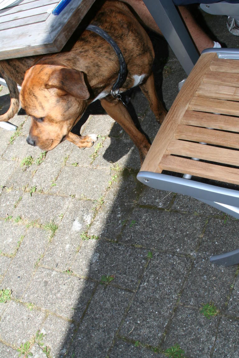 Klik på billedet for at lukke vinduet
