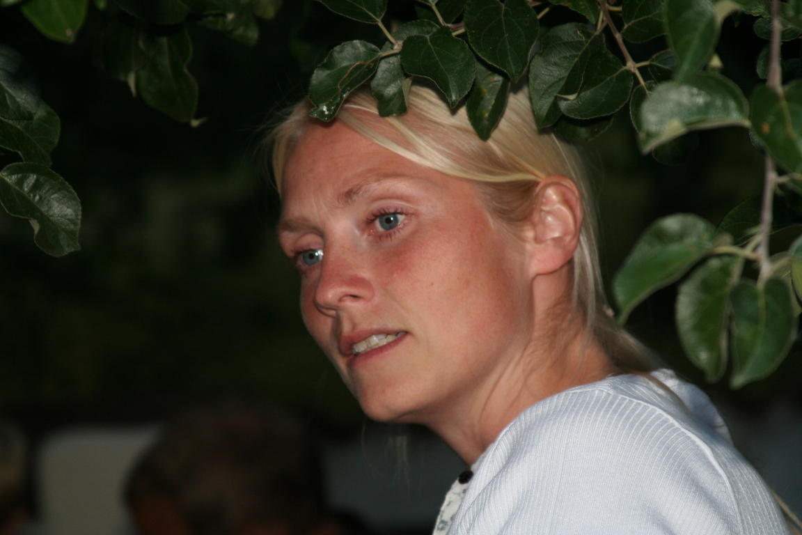 Klik på billedet for at lukke vinduet