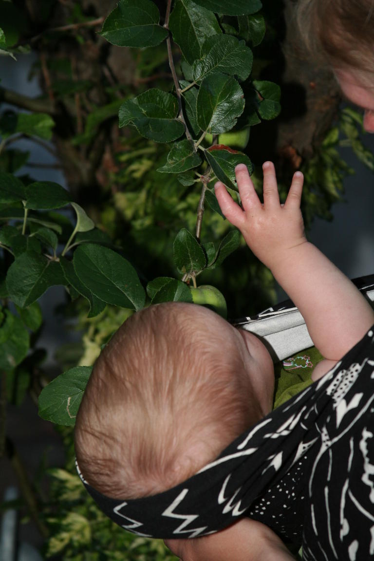 Klik på billedet for at lukke vinduet