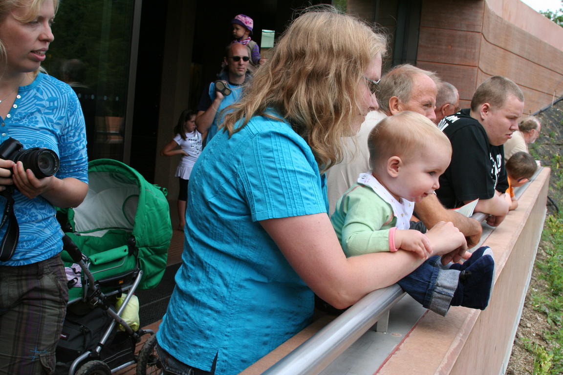 Klik på billedet for at lukke vinduet