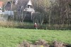 Klik på billedet for at se det i større format