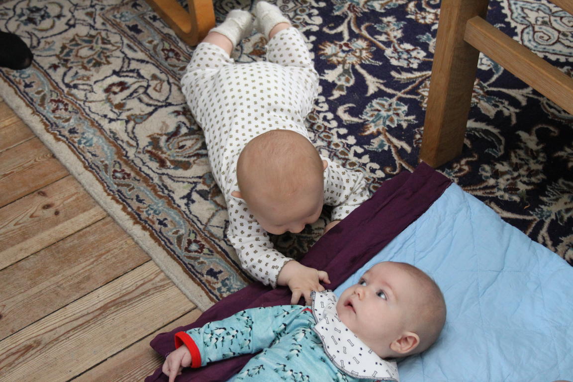Klik på billedet for at lukke vinduet