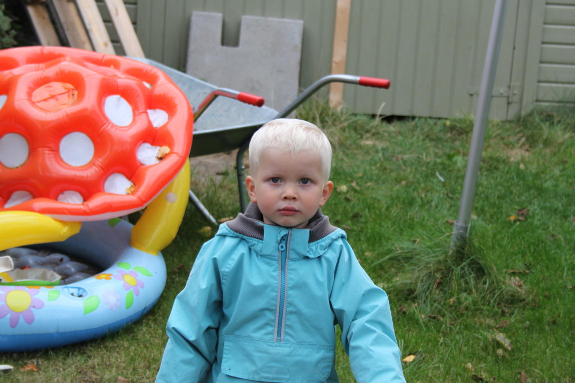 Klik på billedet for at lukke vinduet