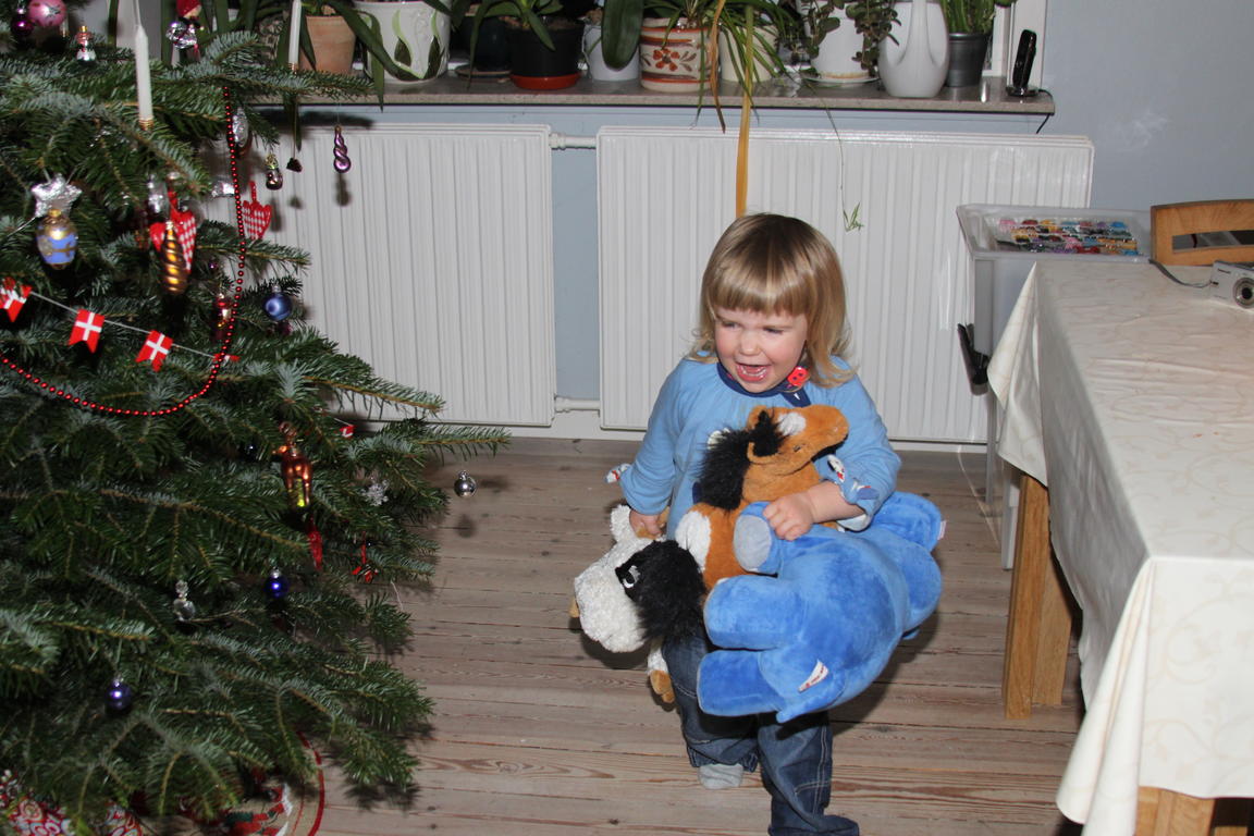 Klik på billedet for at lukke vinduet