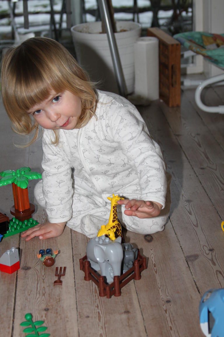 Klik på billedet for at lukke vinduet