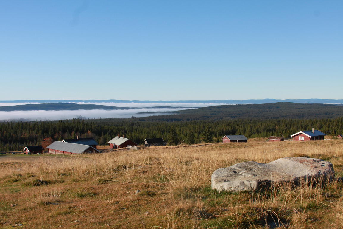 Klik på billedet for at lukke vinduet