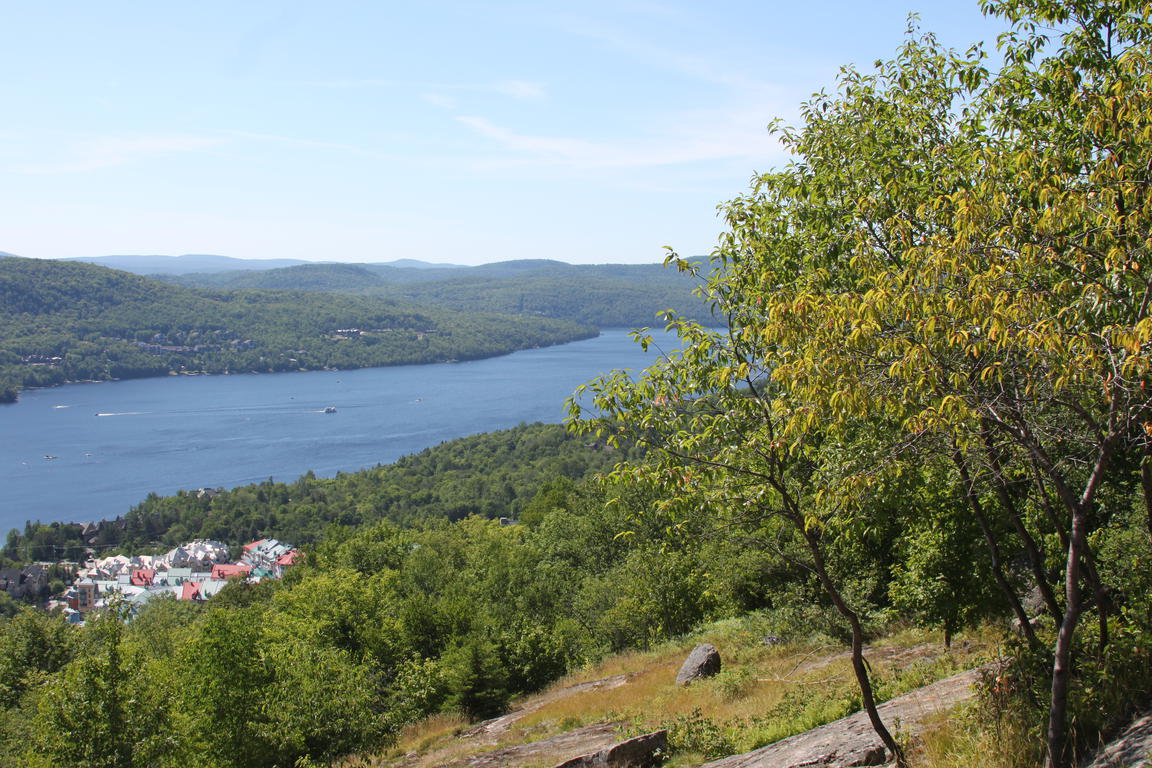 Klik på billedet for at lukke vinduet