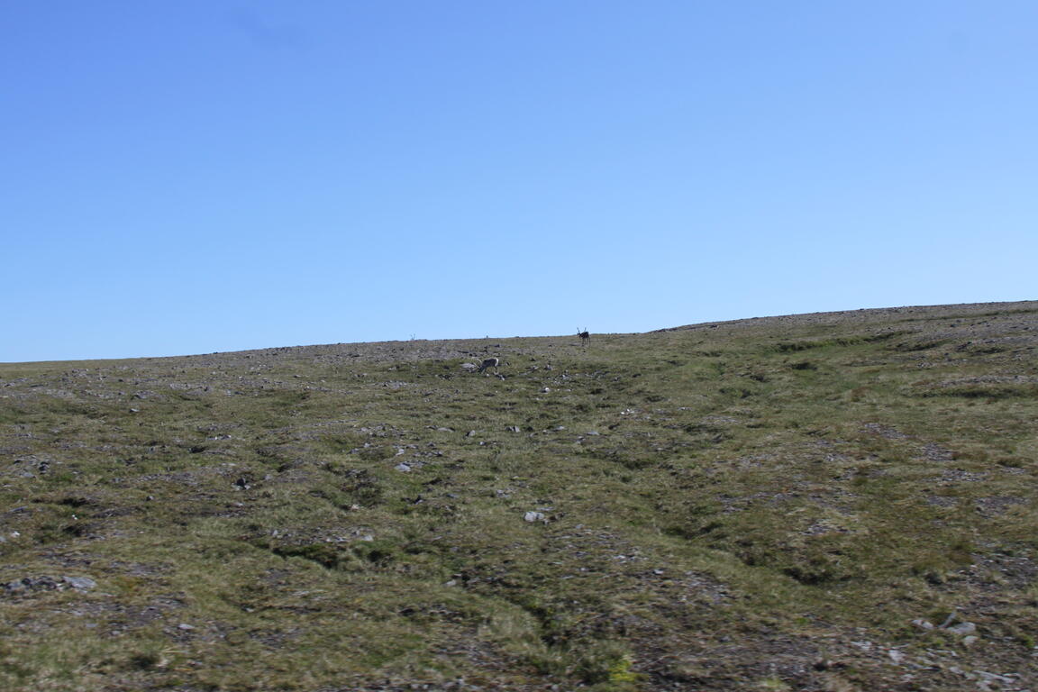 Klik på billedet for at lukke vinduet