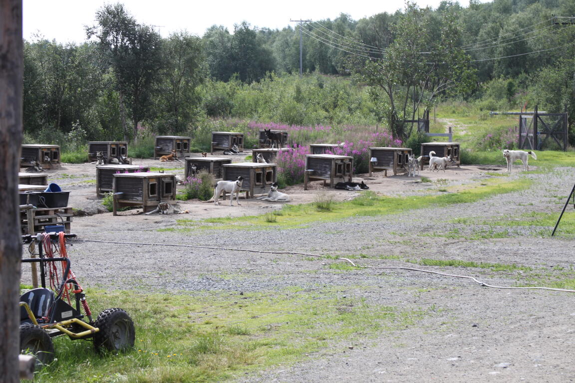 Klik på billedet for at lukke vinduet