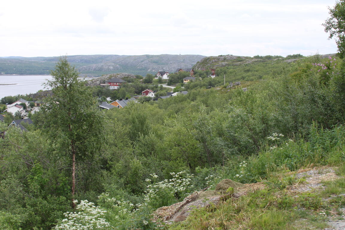 Klik på billedet for at lukke vinduet