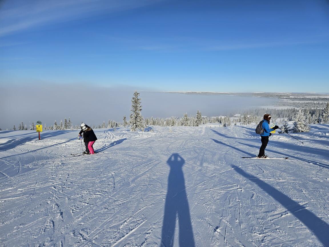 Klik på billedet for at lukke vinduet