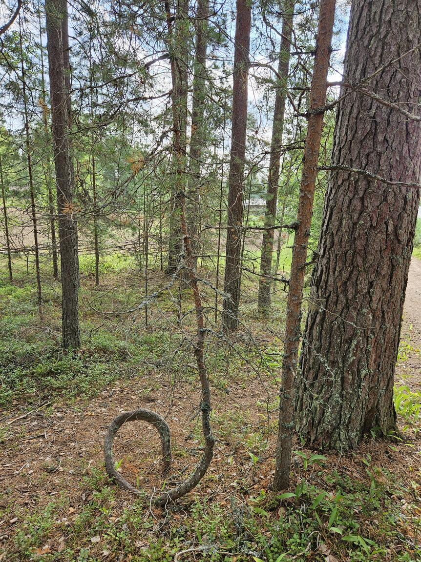 Klik på billedet for at lukke vinduet