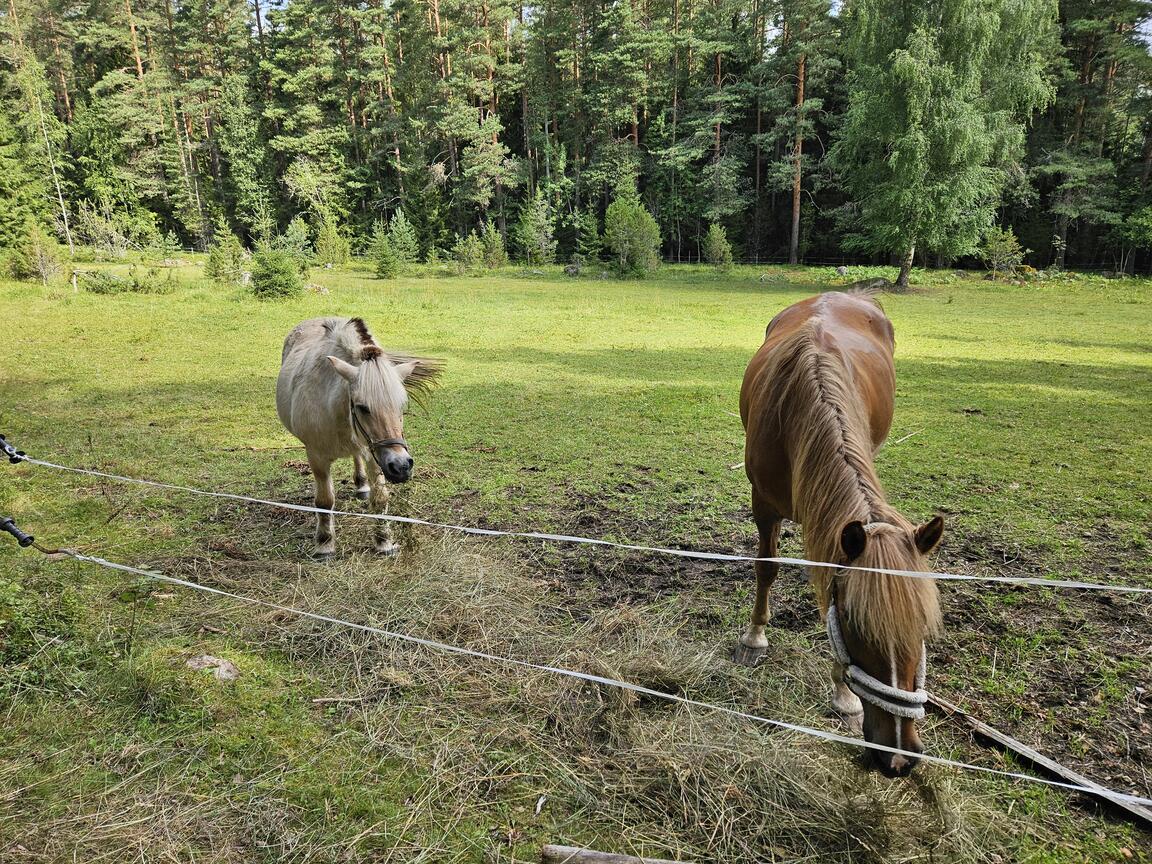 Klik på billedet for at lukke vinduet