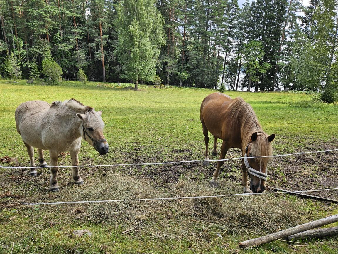 Klik på billedet for at lukke vinduet