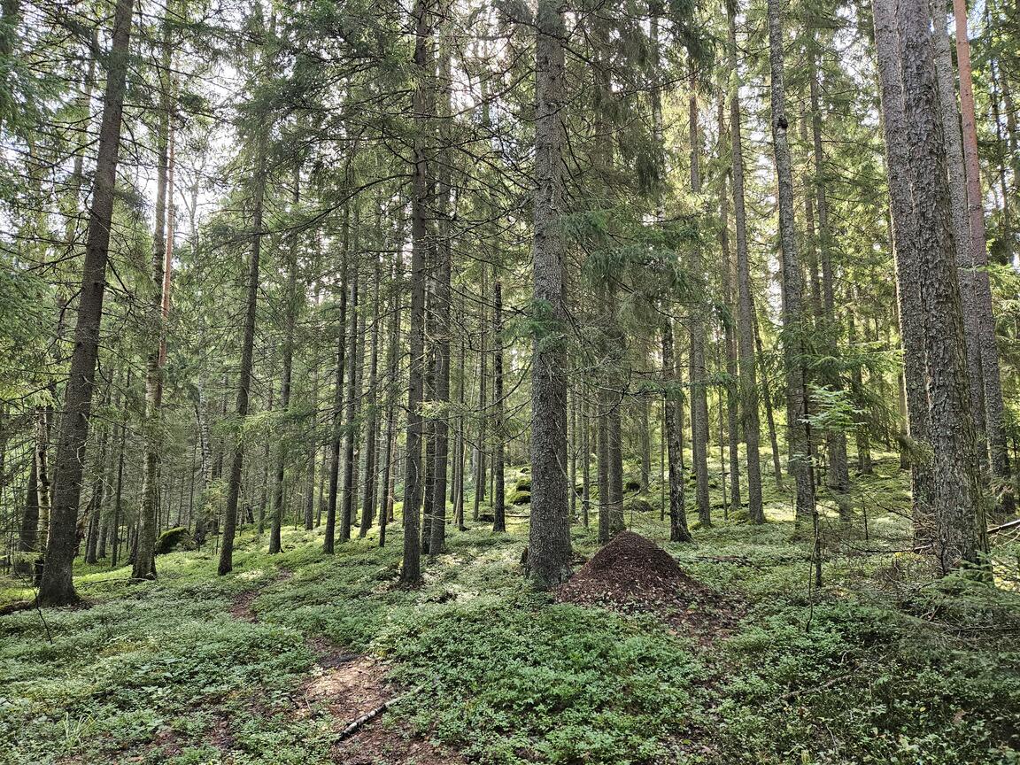 Klik på billedet for at lukke vinduet