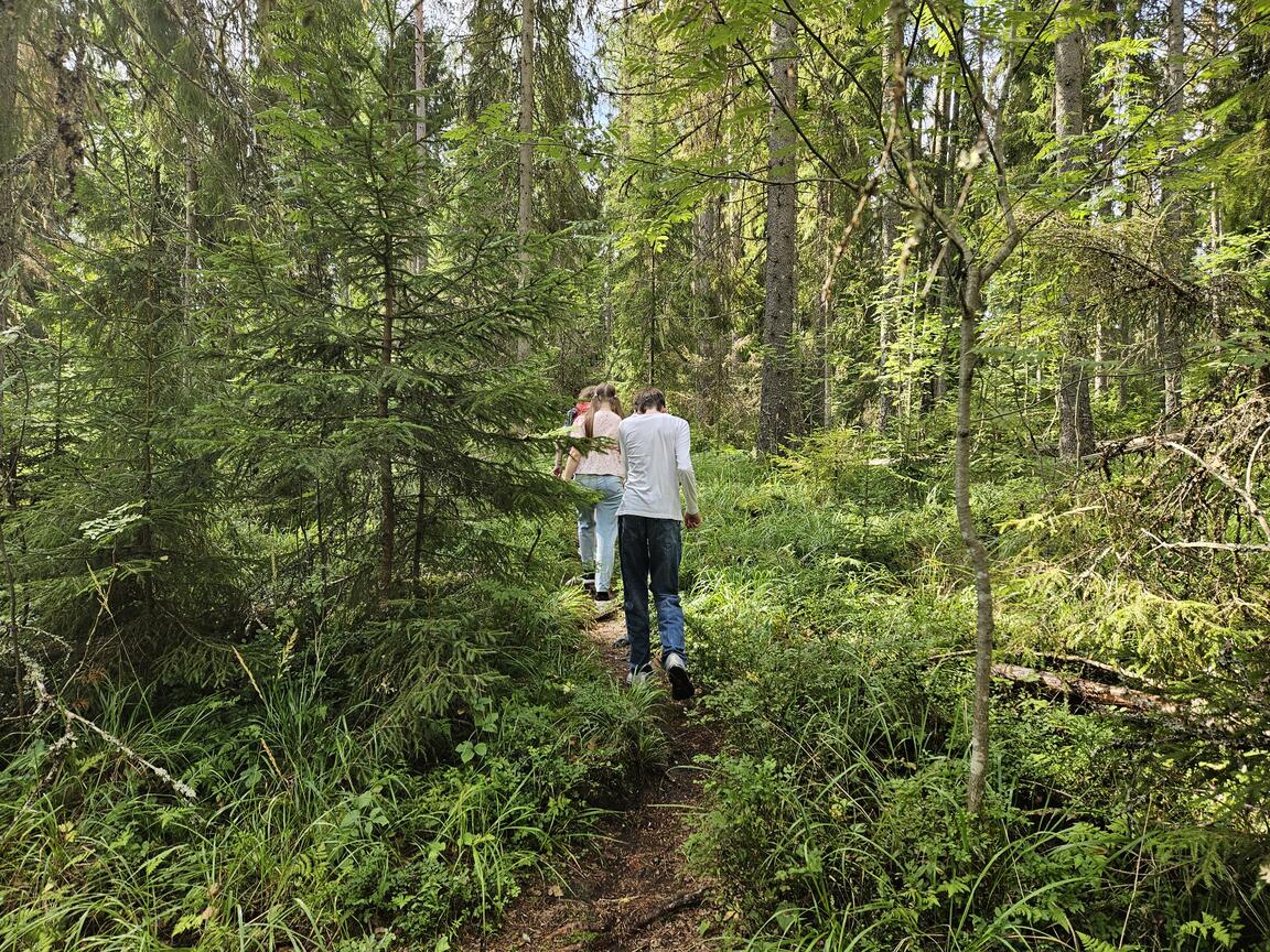 Klik på billedet for at lukke vinduet