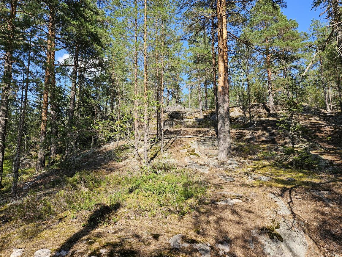 Klik på billedet for at lukke vinduet