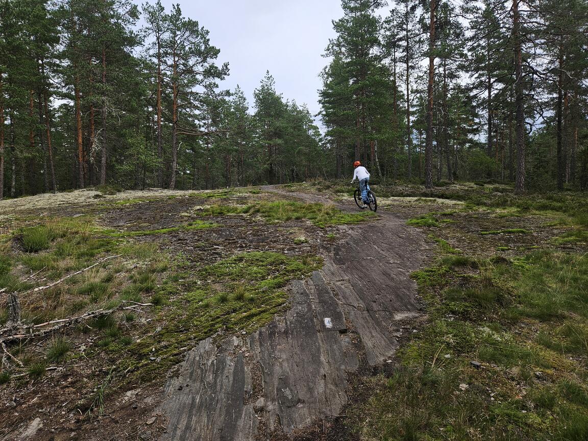 Klik på billedet for at lukke vinduet