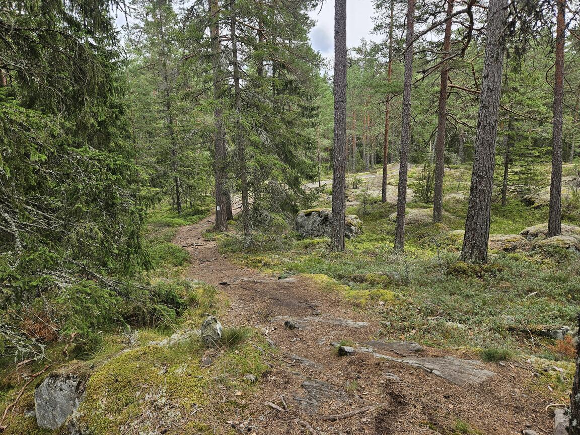 Klik på billedet for at lukke vinduet