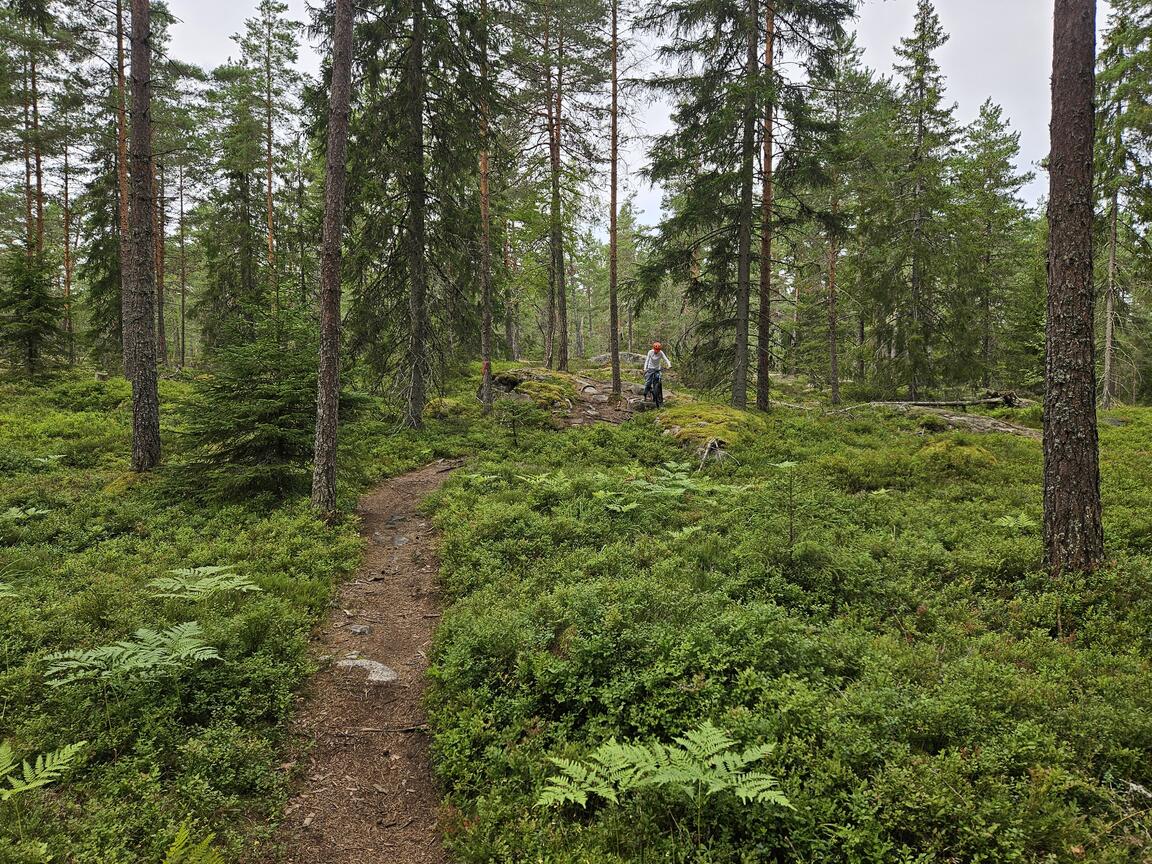 Klik på billedet for at lukke vinduet