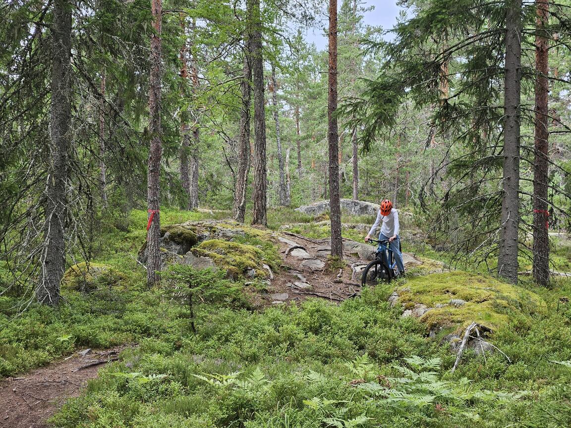 Klik på billedet for at lukke vinduet