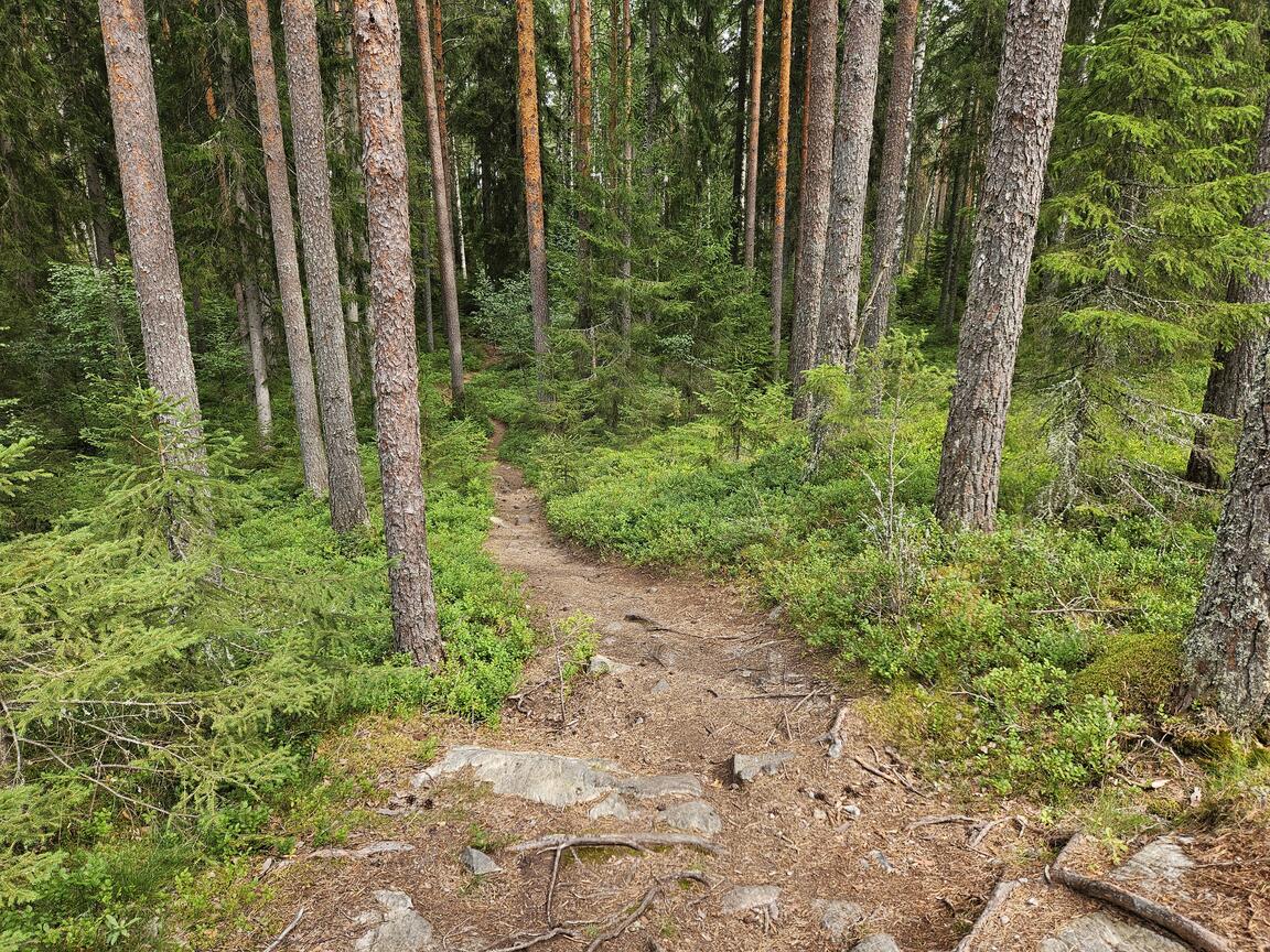 Klik på billedet for at lukke vinduet