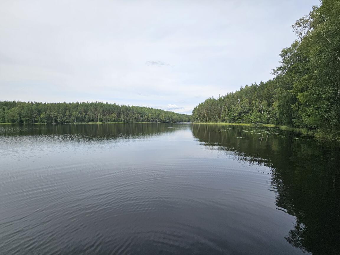 Klik på billedet for at lukke vinduet