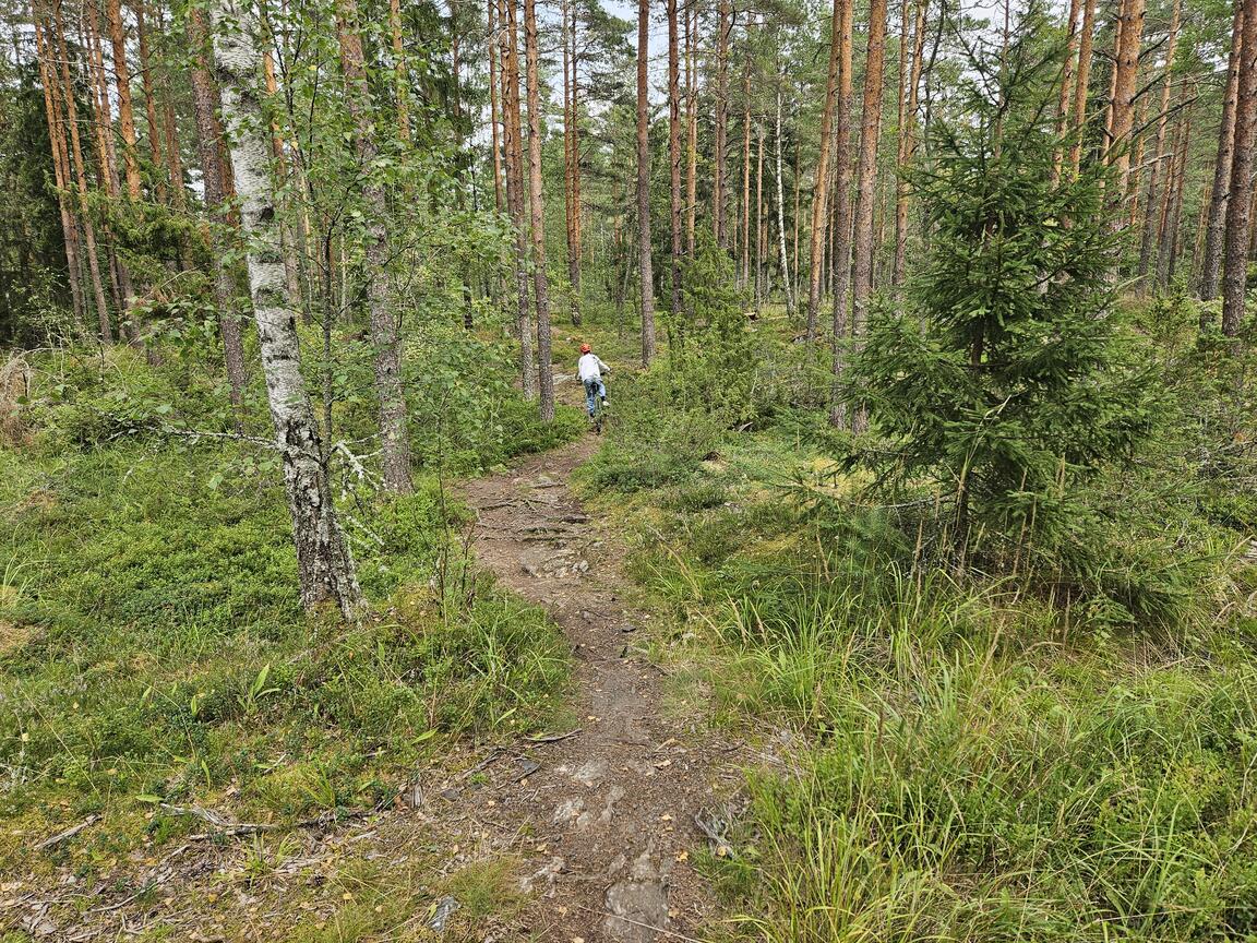 Klik på billedet for at lukke vinduet