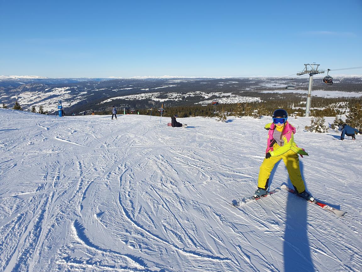 Klik på billedet for at lukke vinduet