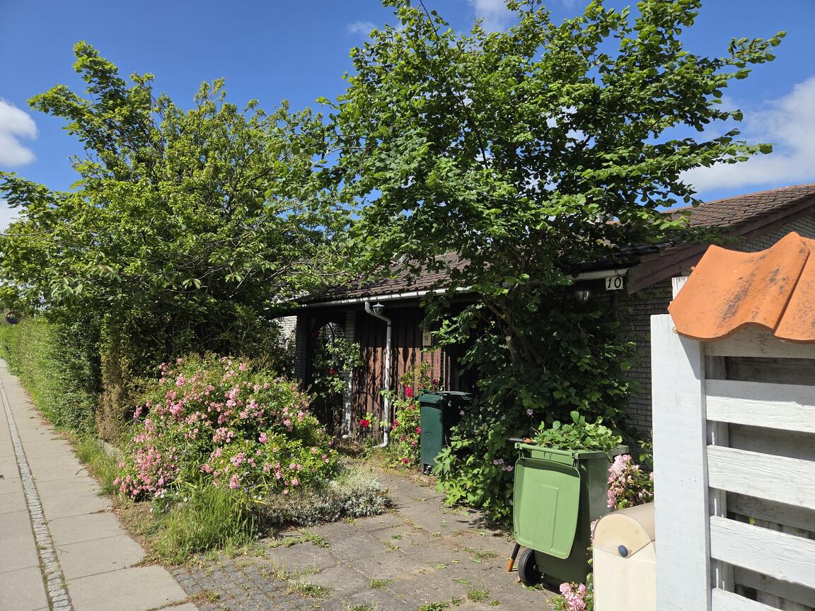Klik på billedet for at lukke vinduet