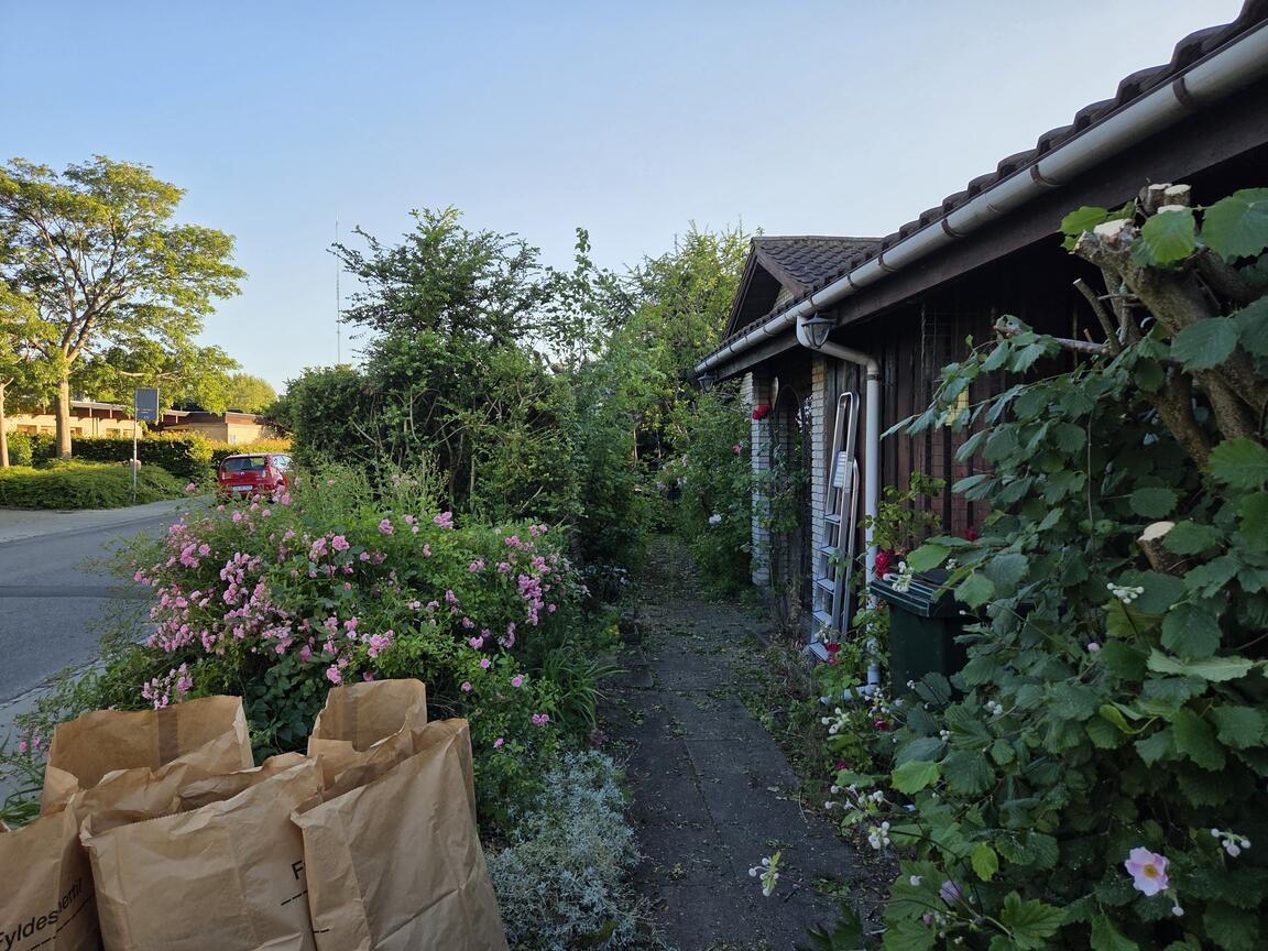 Klik på billedet for at lukke vinduet