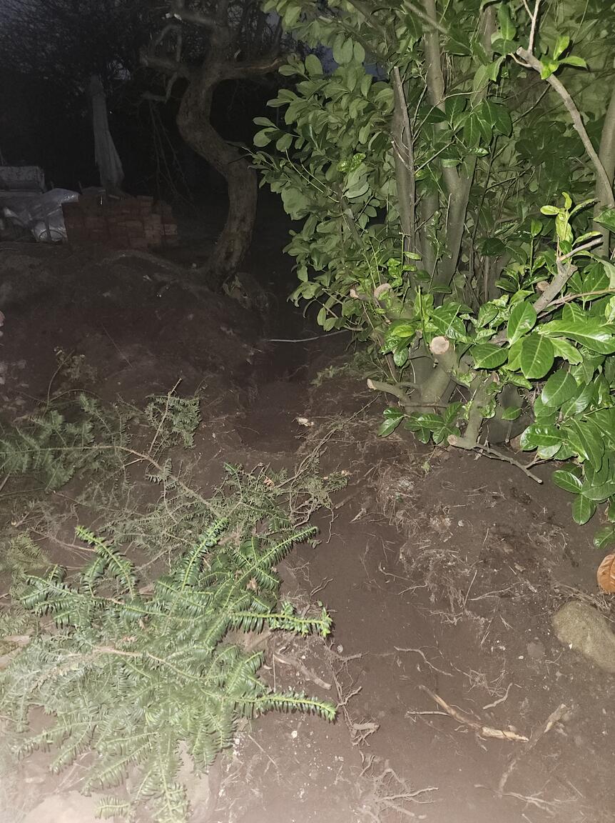 Klik på billedet for at lukke vinduet