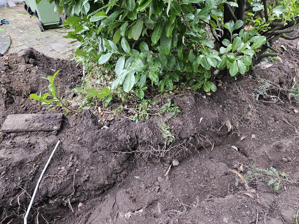 Klik på billedet for at lukke vinduet