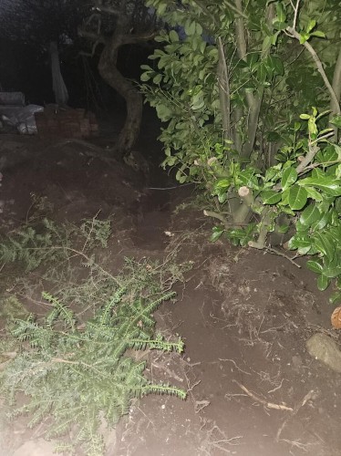 Klik på billedet for at se det i større format