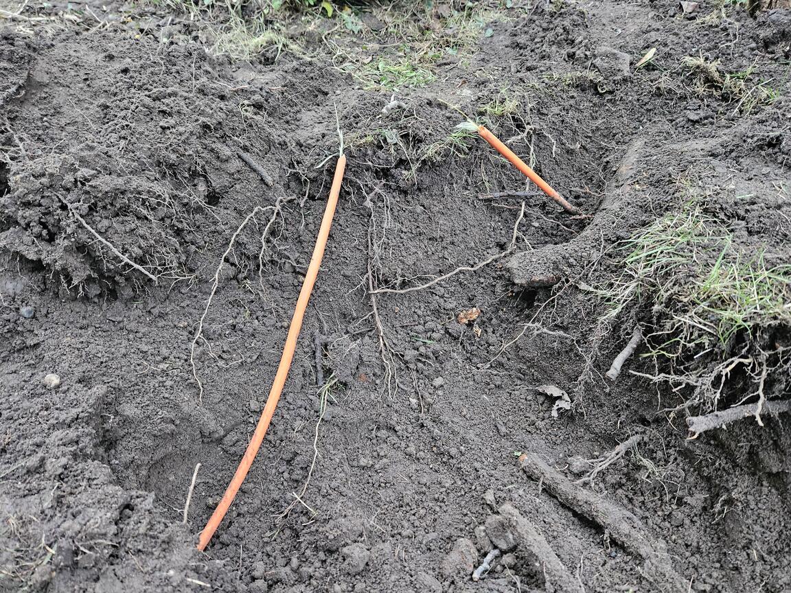 Klik på billedet for at lukke vinduet