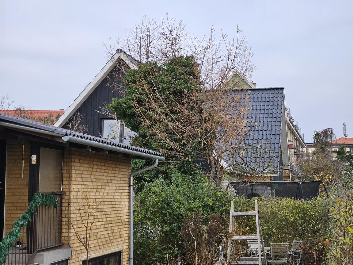 Klik på billedet for at lukke vinduet