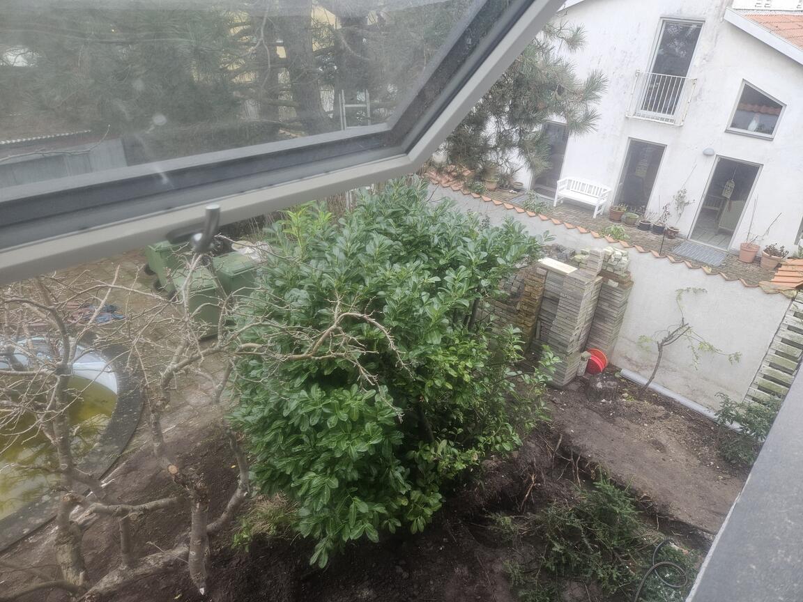 Klik på billedet for at lukke vinduet